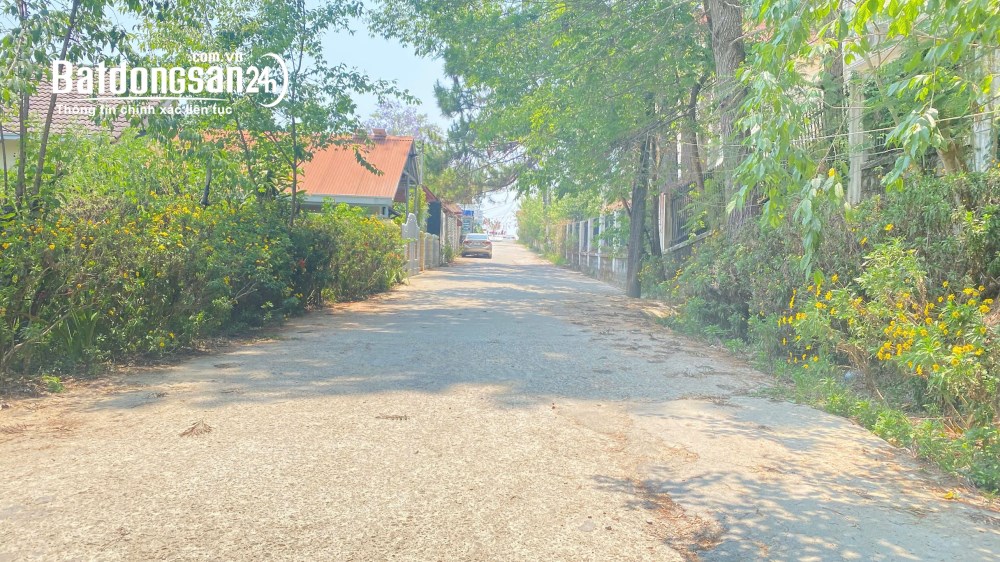 Đất đường nhánh 1.832m2  hẻm lớn Trần Quang Diệu, Phường 10, Đà lạt, Lâm Đồng