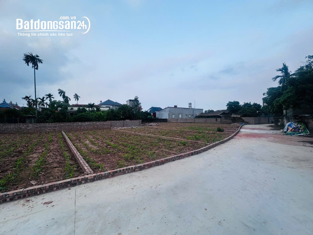 Bán đất Xã Triệu Việt Vương (Huyện Khoái Châu cũ), Hưng Yên