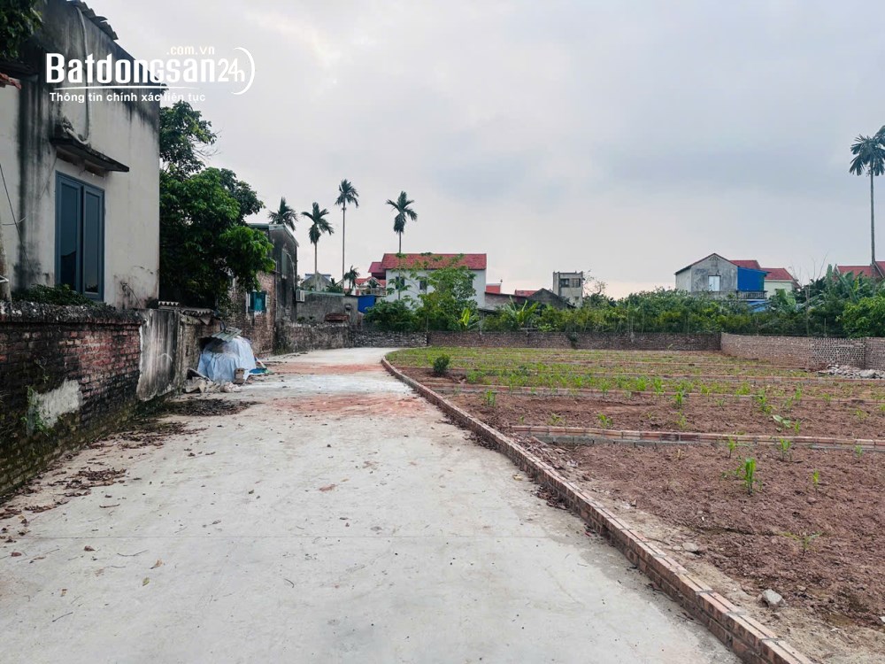 Bán đất Xã Triệu Việt Vương (Huyện Khoái Châu cũ), Hưng Yên