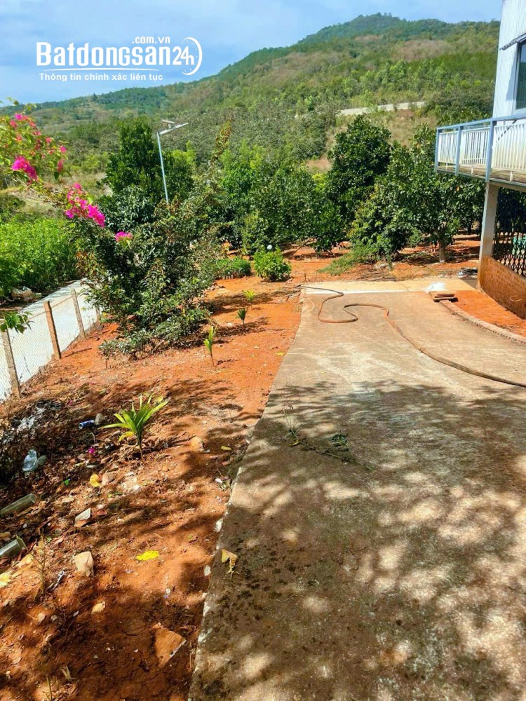 Bán nhà gần 1,7 sào đất hẻm, QL27, Liên Hiệp, Đức Trọng cũ, Lâm Đồng