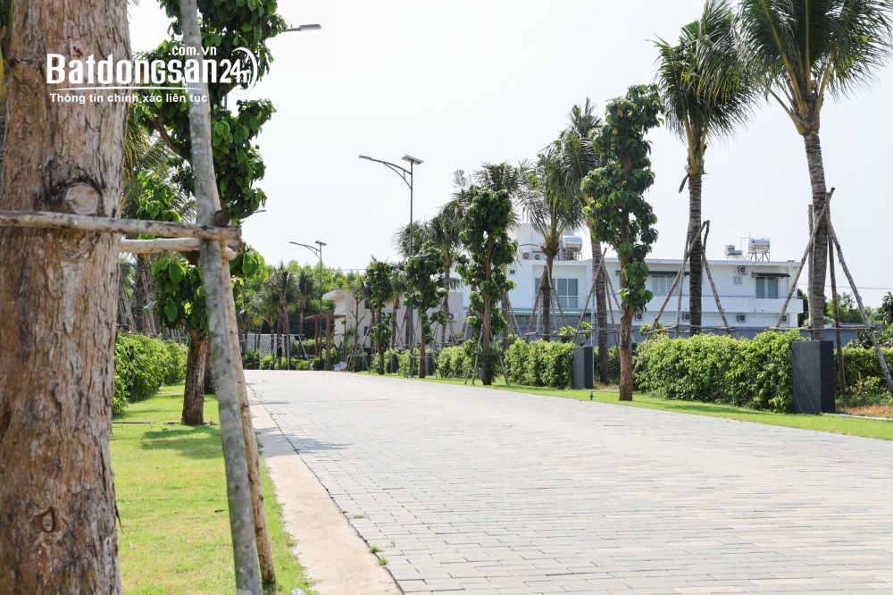“Bạn không mua AVANA vì nó rẻ. Bạn mua vì nó đáng tại Xã Đất Đỏ, TP Hồ Chí Minh