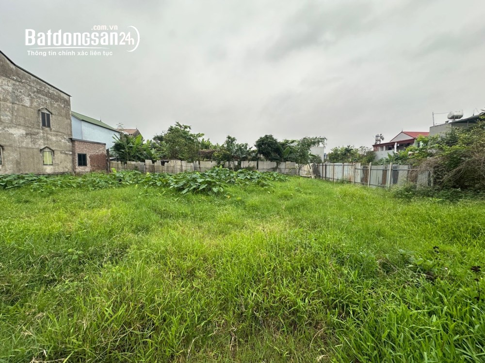 BÁN GẤP LÔ ĐẤT VÀNG 252m -GIÁP KHU TÁI ĐỊNH CƯ TIÊN DƯỢC- XÃ SÓC SƠN-SÂN BAY NỘI BÀI
