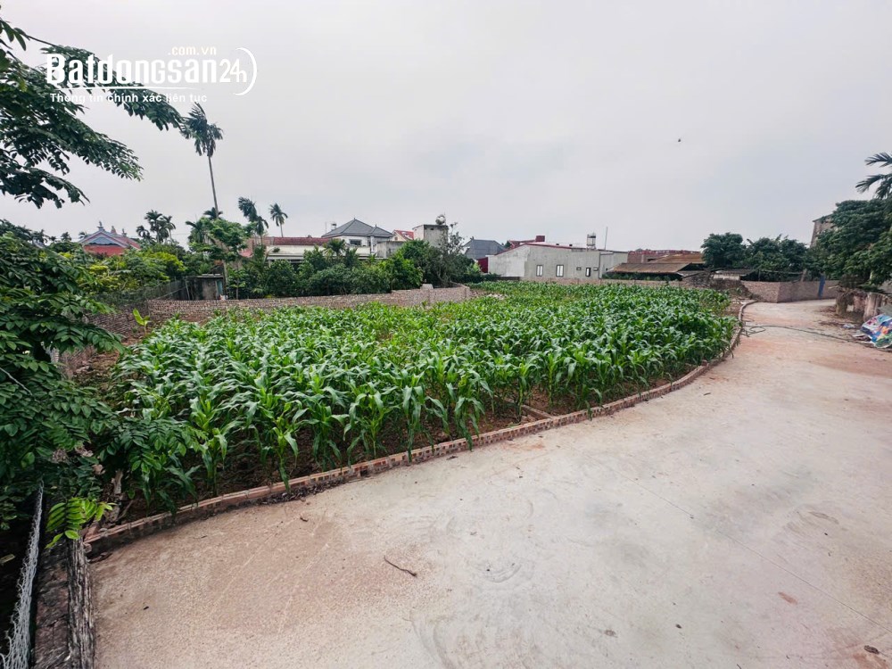 Bán đất nền phân lô Đường 205D, Xã Triệu Việt Vương (Huyện Khoái Châu cũ), Hưng Yên