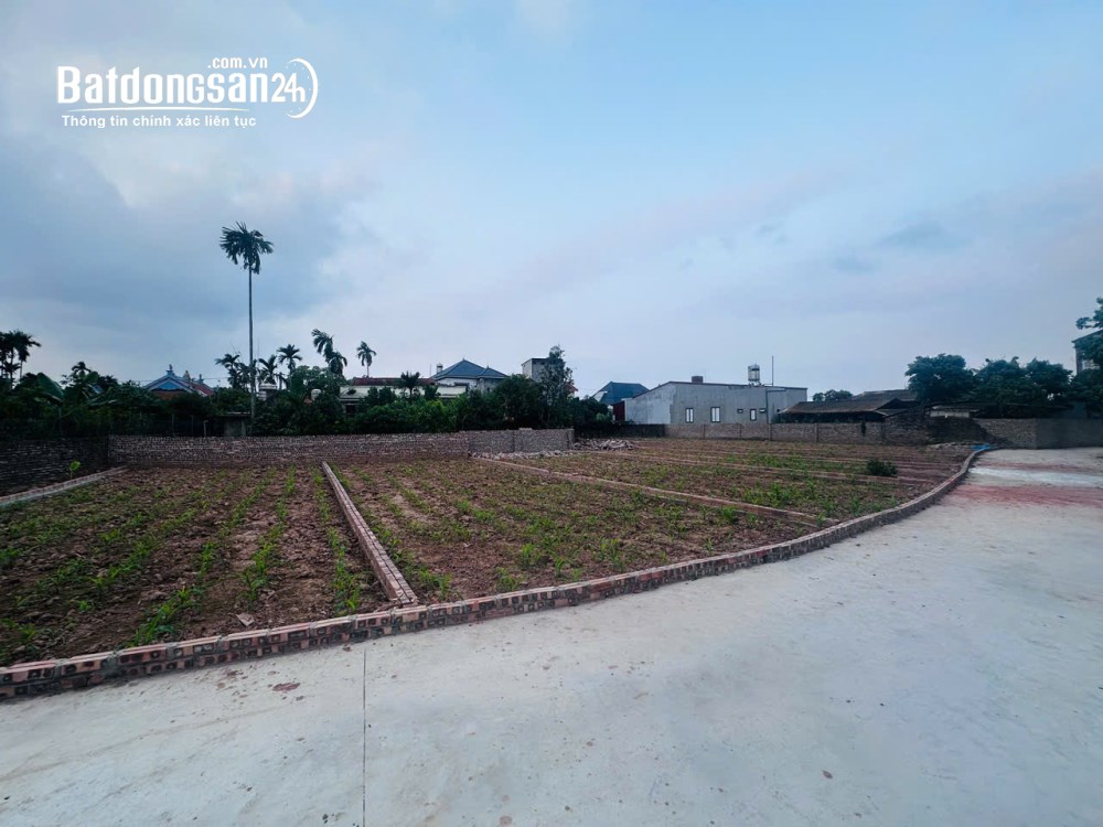 Bán đất nền phân lô Đường 205D, Xã Triệu Việt Vương (Huyện Khoái Châu cũ), Hưng Yên
