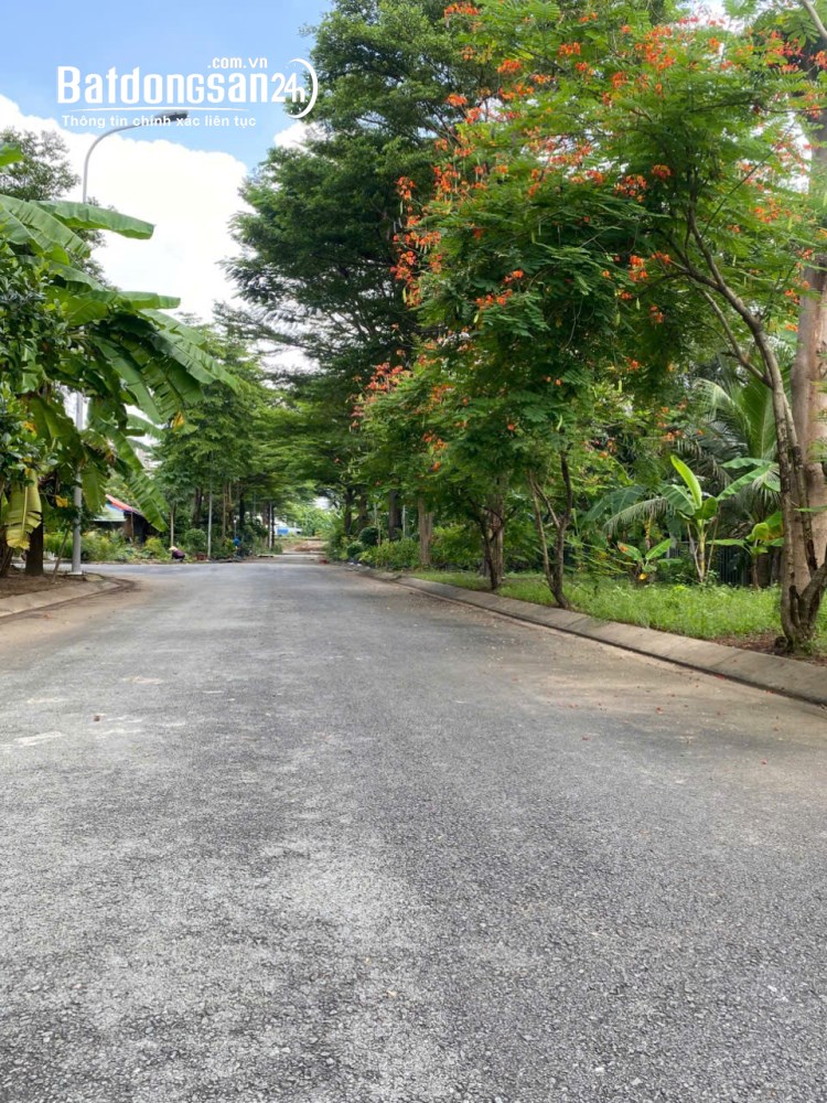  Lô đất KDC Phú nhuận phước long B DT 300m2, vị trí đẹp giá tốt, P. Phước Long, HCM.