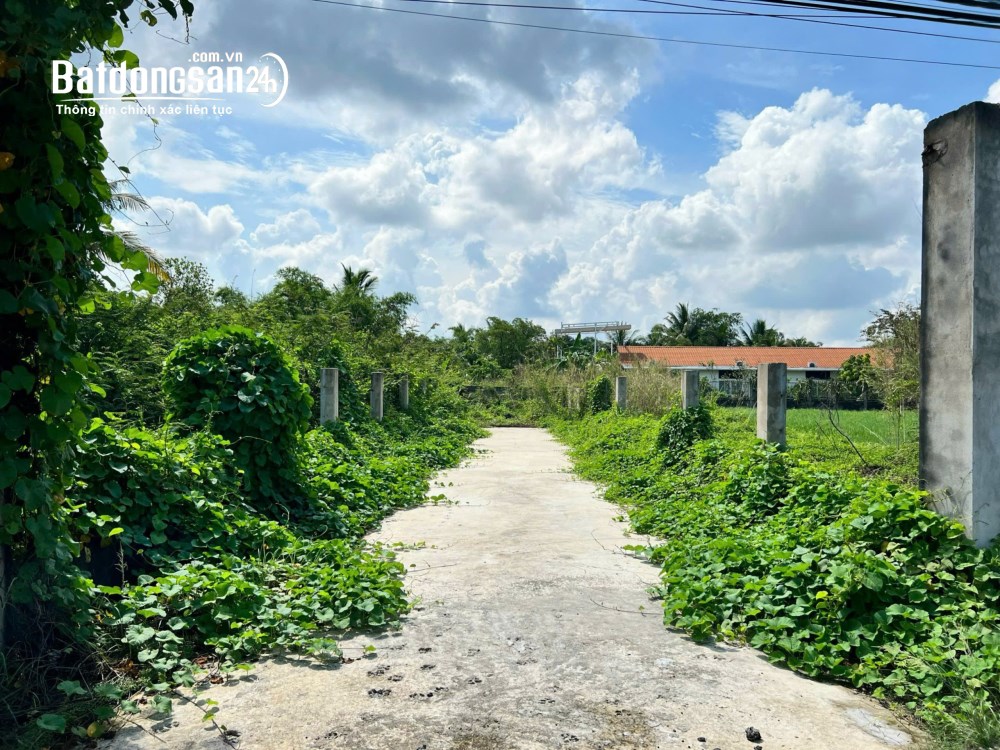 Bán đất MT Đường Trung An, Củ Chi, 211m2, giá 2,3 tỷ, gần sông Sài Gòn mát mẻ, TP. HCM.