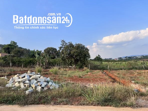Bán đất Đường Tỉnh lộ 725, Xã Nam Ban Lâm Hà (Huyện Lâm Hà cũ), Lâm Đồng