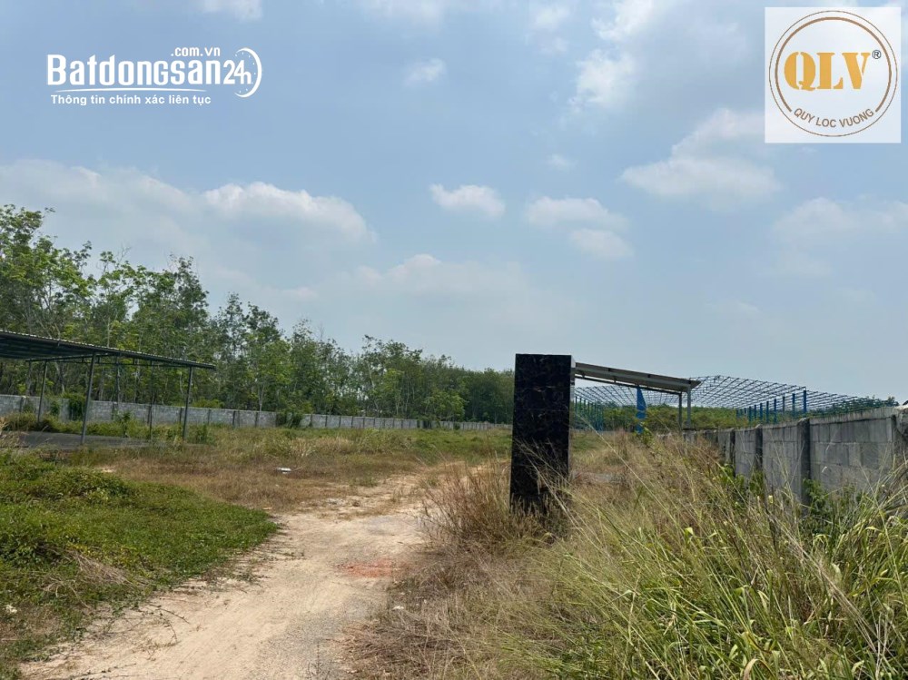 Cho thuê nhà xưởng đang xây – Phú Giáo, Bình Dương – 2.880m²