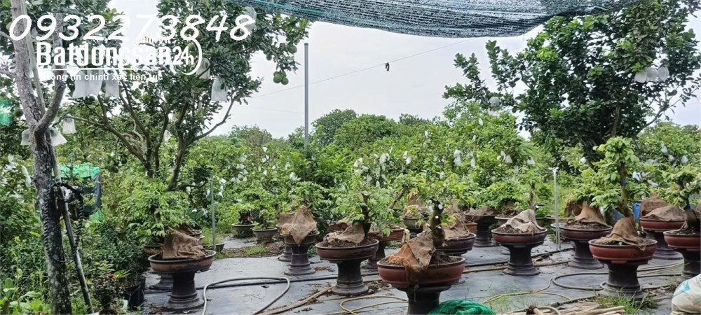 Chính chủ cần bán đất tại ấp Sa Cá, xã Bình An, Long Thành, Đồng Nai 