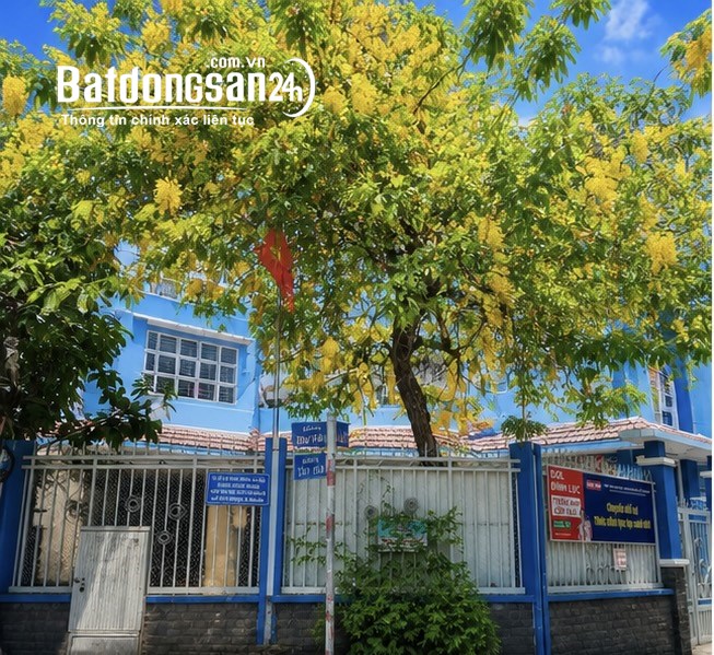 Bán nhà 65m2, xây 4 tầng, full công năng, P. Tân Hòa (Q Tân Bình cũ), TP HCM.