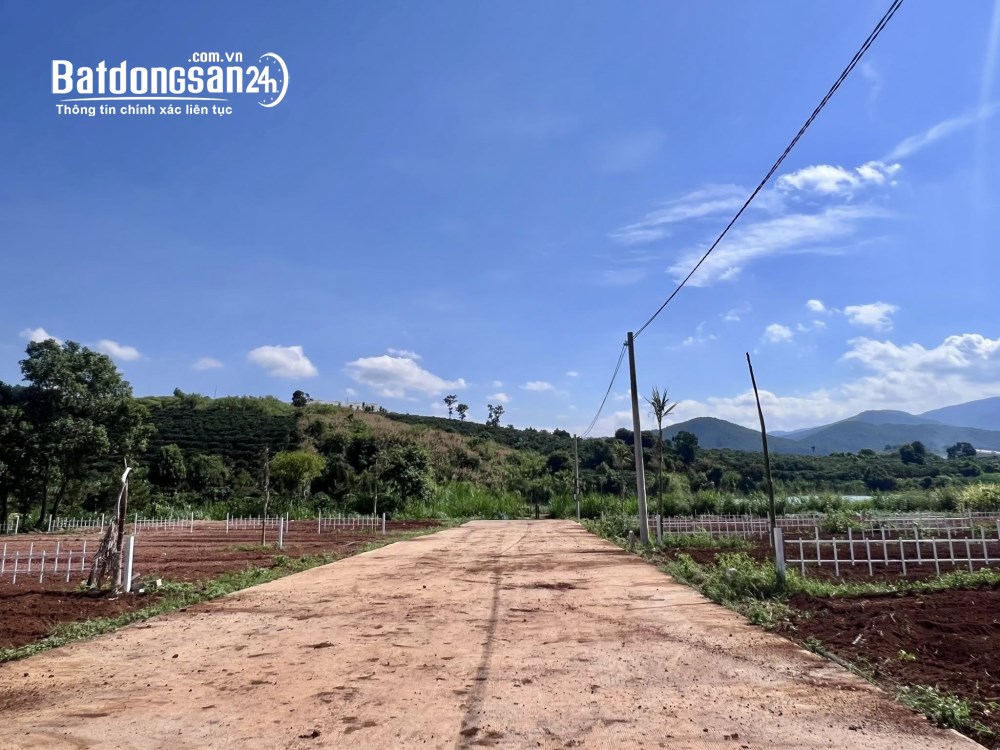 Bán đất Đường Tỉnh lộ 725, Xã Nam Ban Lâm Hà (Huyện Lâm Hà cũ), Lâm Đồng