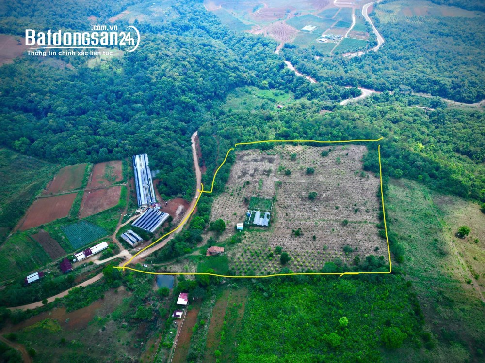 Bán đất Xã Măng Đen (Huyện Kon Plông cũ), Quảng Ngãi
