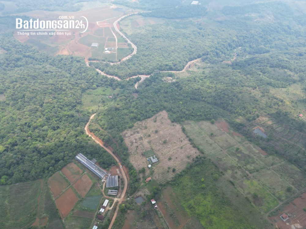 Bán đất Xã Măng Đen (Huyện Kon Plông cũ), Quảng Ngãi