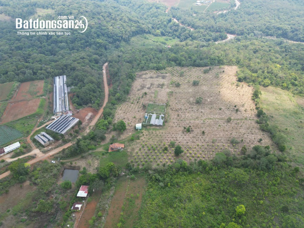 Bán đất Xã Măng Đen (Huyện Kon Plông cũ), Quảng Ngãi
