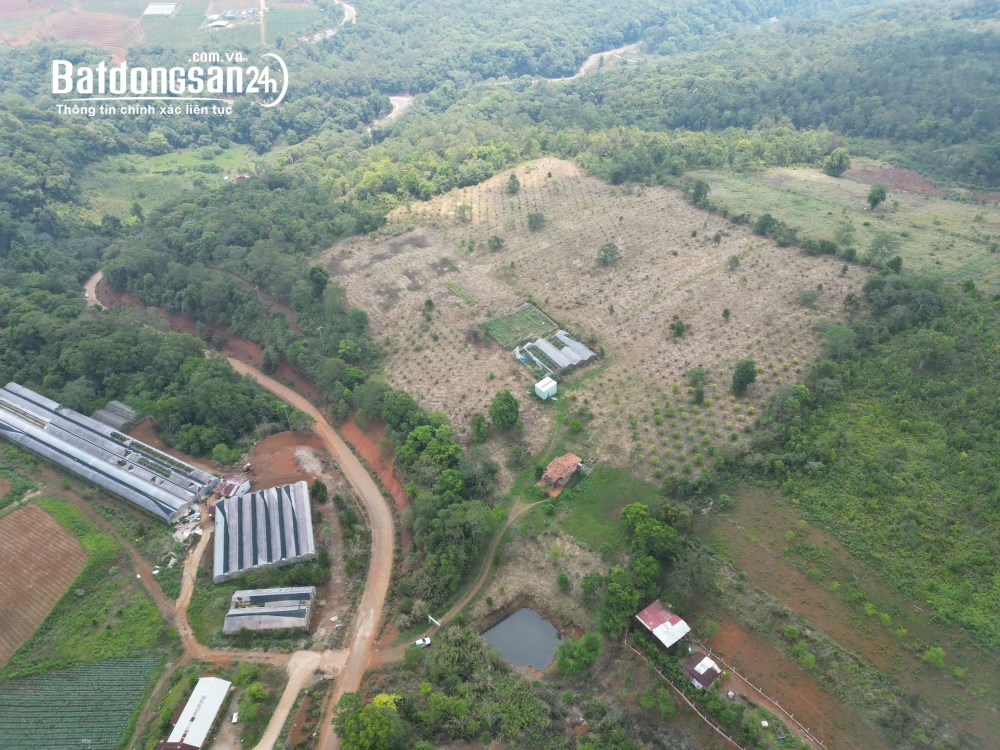 Bán đất Xã Măng Đen (Huyện Kon Plông cũ), Quảng Ngãi