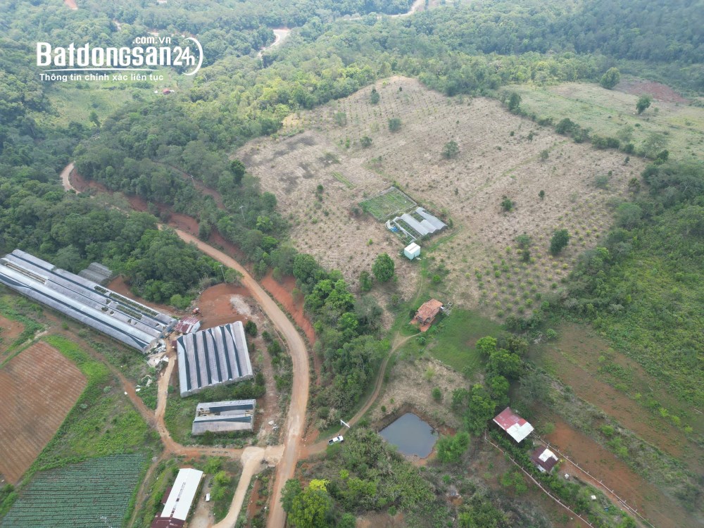Bán đất Xã Măng Đen (Huyện Kon Plông cũ), Quảng Ngãi
