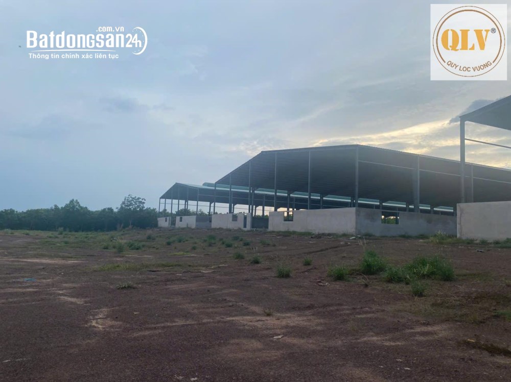 Bán kho-xưởng 31.952m2, pháp lý rõ ràng, đã hoàn công công trình, Xã Phú Giáo, TP. HCM.