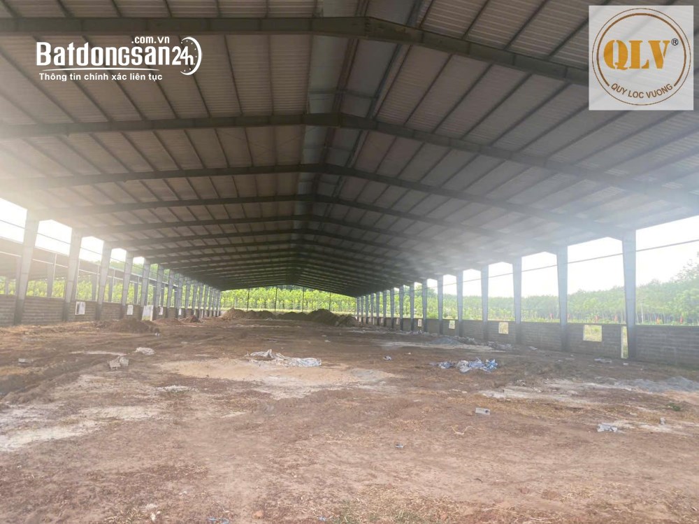Bán kho-xưởng 31.952m2, pháp lý rõ ràng, đã hoàn công công trình, Xã Phú Giáo, TP. HCM.