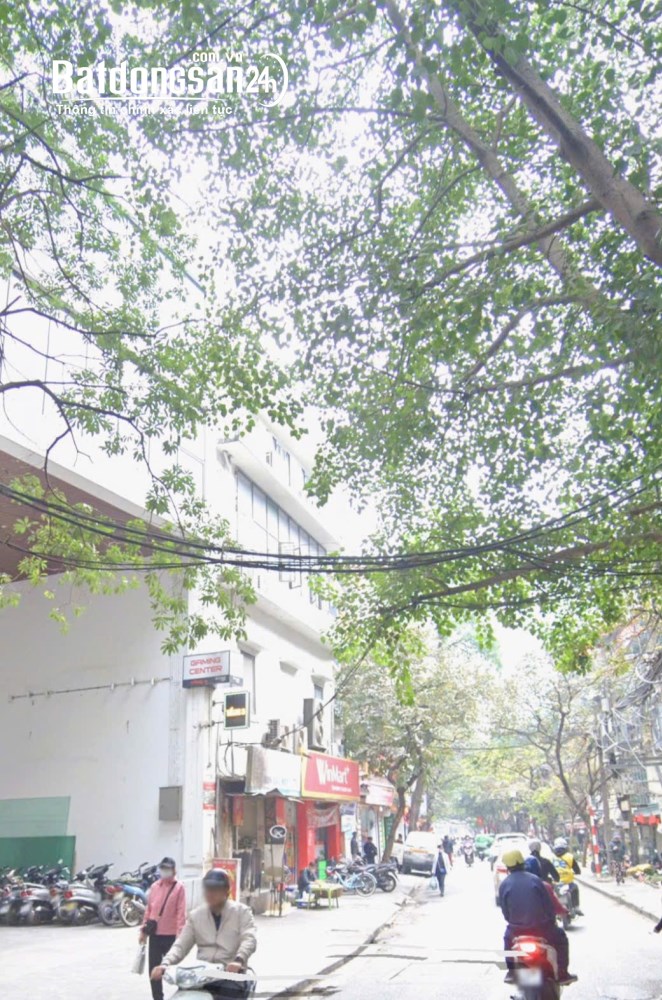 Bán tòa 8 tầng, 370m2, 260 tỷ, Đ. Vũ Thạnh, P. Ba Đình, TP Hà Nội.