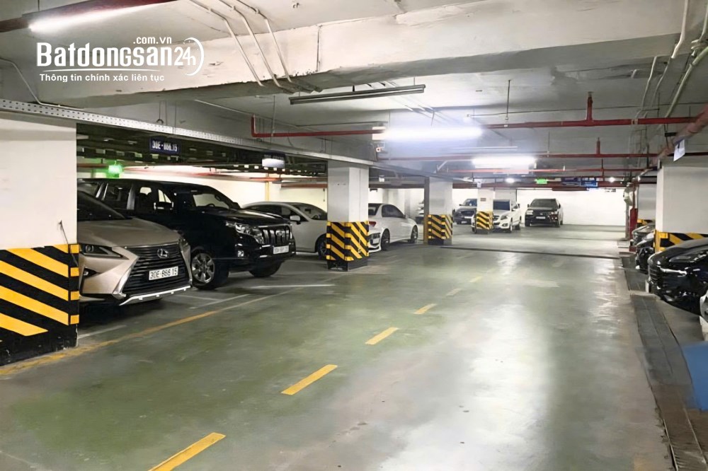 Cho thuê VP Diamond Flower Tower 250m2, giá hợp lý, Lê Văn Lương, P. Thanh Xuân, TP. Hà Nội.