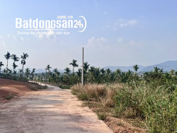 Bán đất Đường Tỉnh lộ 725, Xã Nam Ban Lâm Hà (Huyện Lâm Hà cũ), Lâm Đồng
