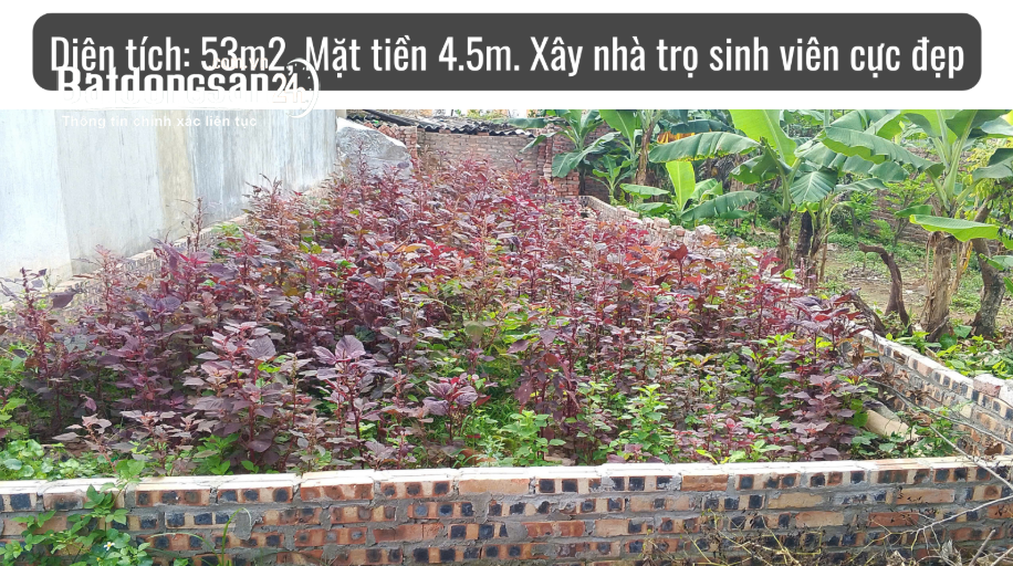 ĐẤT VÀNG TRƯỜNG MAY – LỆ CHI, GIA LÂM – 53m2 – Ô TÔ ĐỖ CỬA – KD SẦM UẤT –– NHỈNH 2 TỶ