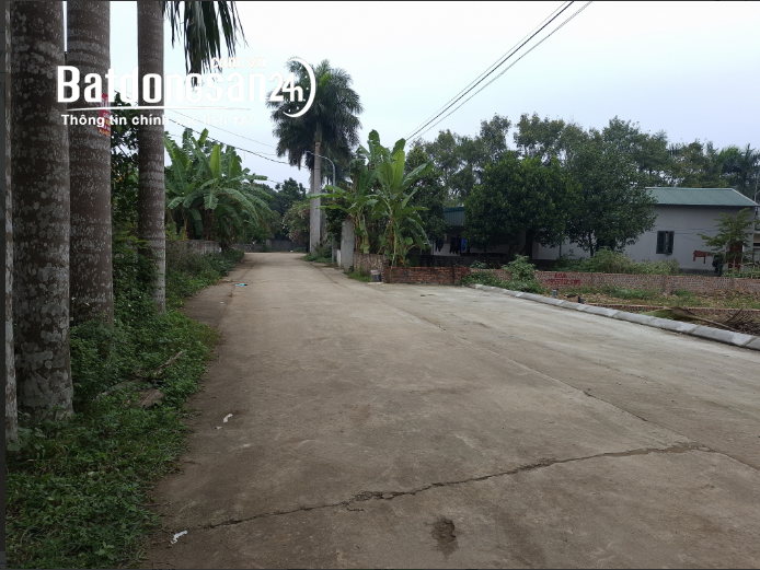 Đất Cổ Đông – Sơn Tây – 100m2 Full Thổ Cư – Đối Diện Trường Lục Quân – Giá 3 Tỷ.