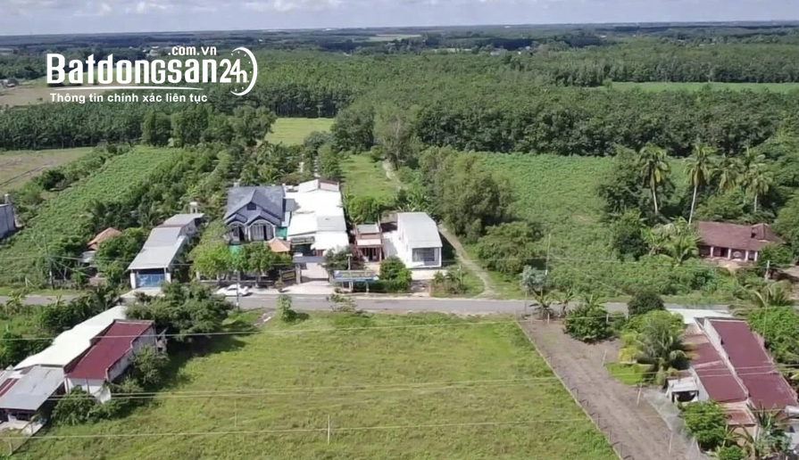 BÁN ĐẤT MT TRẦN QUANG ĐẠO – TÂN THÔNG HỘI, CỦ CHI – 10x40m – 200m2 THỔ CƯ.