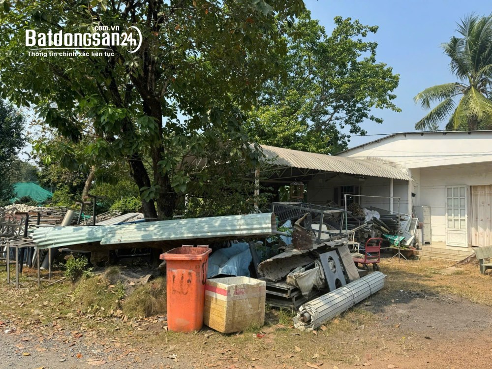 BÁN ĐẤT LONG BÌNH, QUẬN 9 - DT 1000M2 - SHR - 38.5 TỶ. LH:0907511230 - 0908334579.