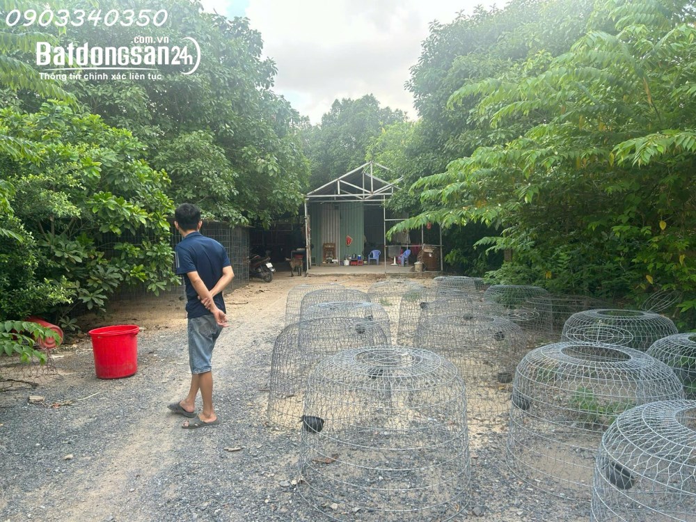 🌿 Đất Mặt Tiền Nhị Bình 18, Hóc Môn – 3.156m² – Đường Nhựa 6m – Chỉ 17.8 Tỷ