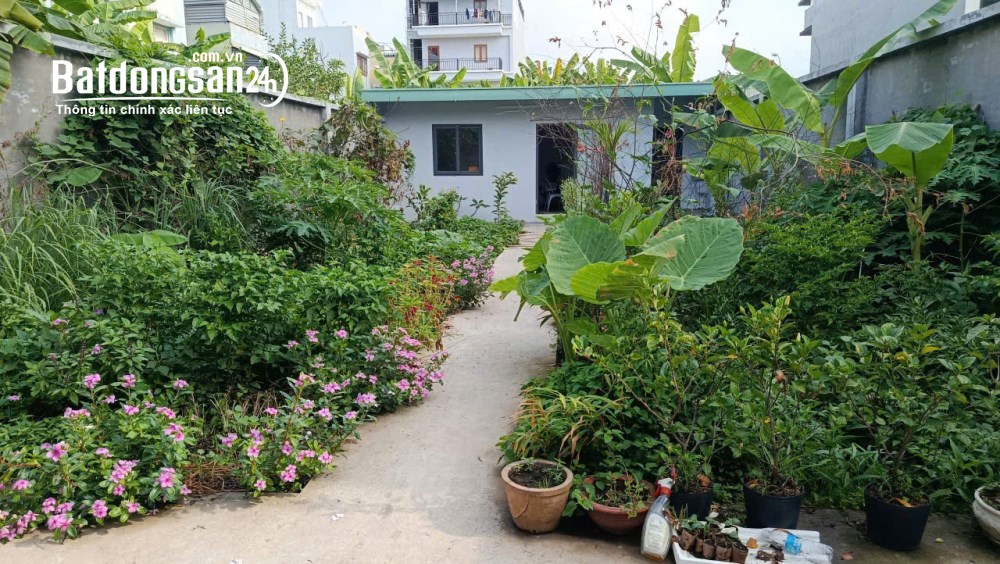 Bán đất mặt tiền Đường Số 64, Phường Bình Trưng (Q Quận 2 cũ), Hồ Chí Minh