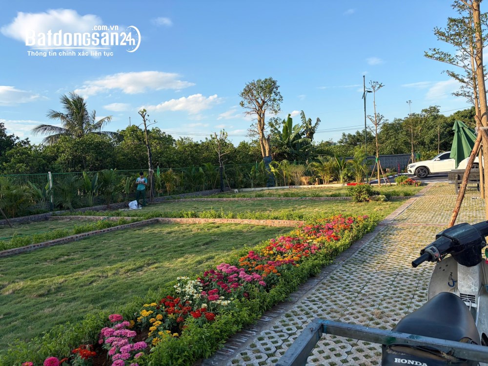 Bán đất gần chợ Hòa Lạc, 35 triệu / m2, 100m2 giá cực chất