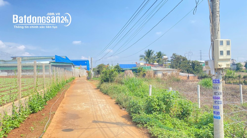 Bán đất 10x23m, giá 2,659 tỷ, bao sổ, Quốc Lộ 20, Xã Đức Trọng, Tỉnh Lâm Đồng