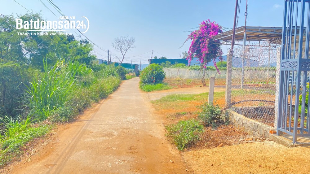 Bán đất 10x23m, giá 2,659 tỷ, bao sổ, Quốc Lộ 20, Xã Đức Trọng, Tỉnh Lâm Đồng