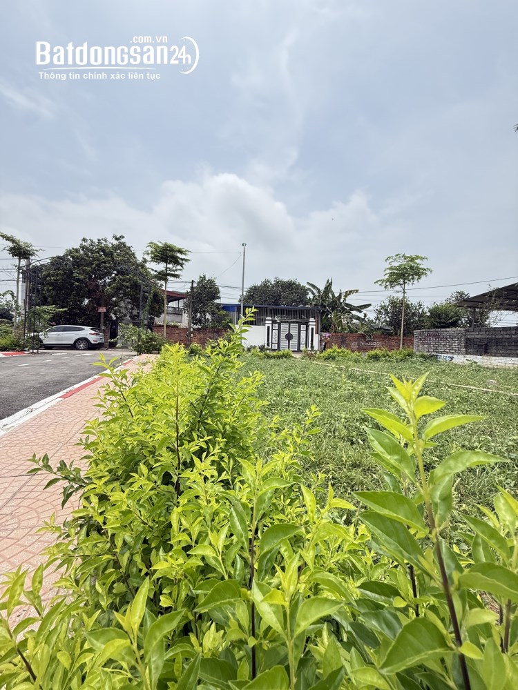  Bán 100m2 Trục chính Trại Hồ, 400m ra Trường Sĩ Quan Lục Quân, 30tr/m