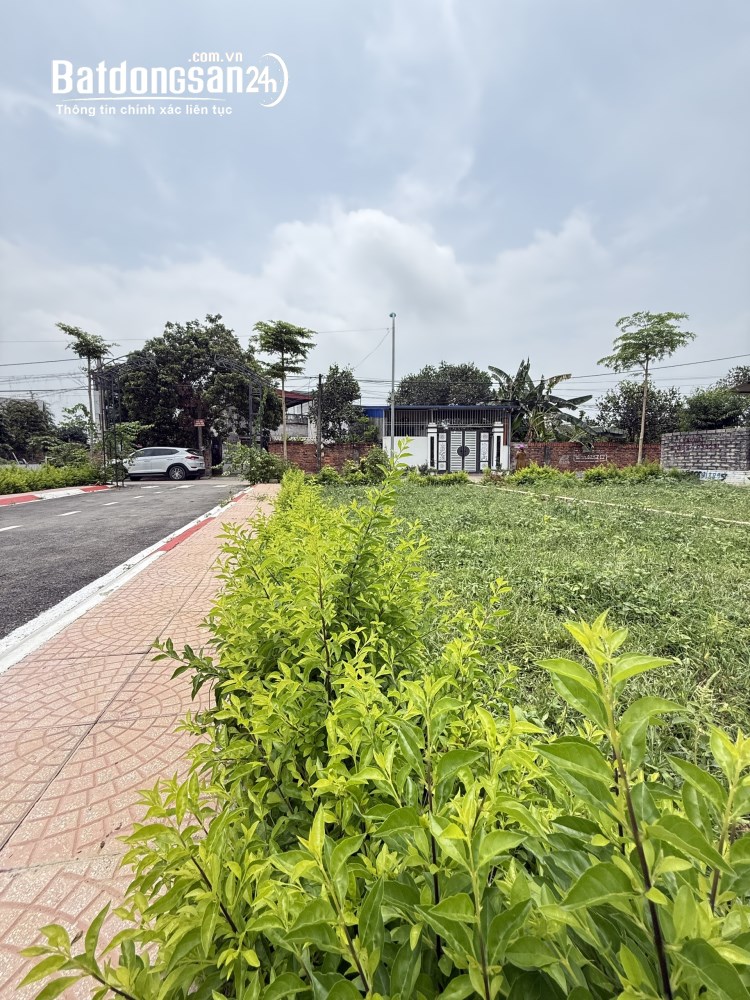  Bán 100m2 Trục chính Trại Hồ, 400m ra Trường Sĩ Quan Lục Quân, 30tr/m