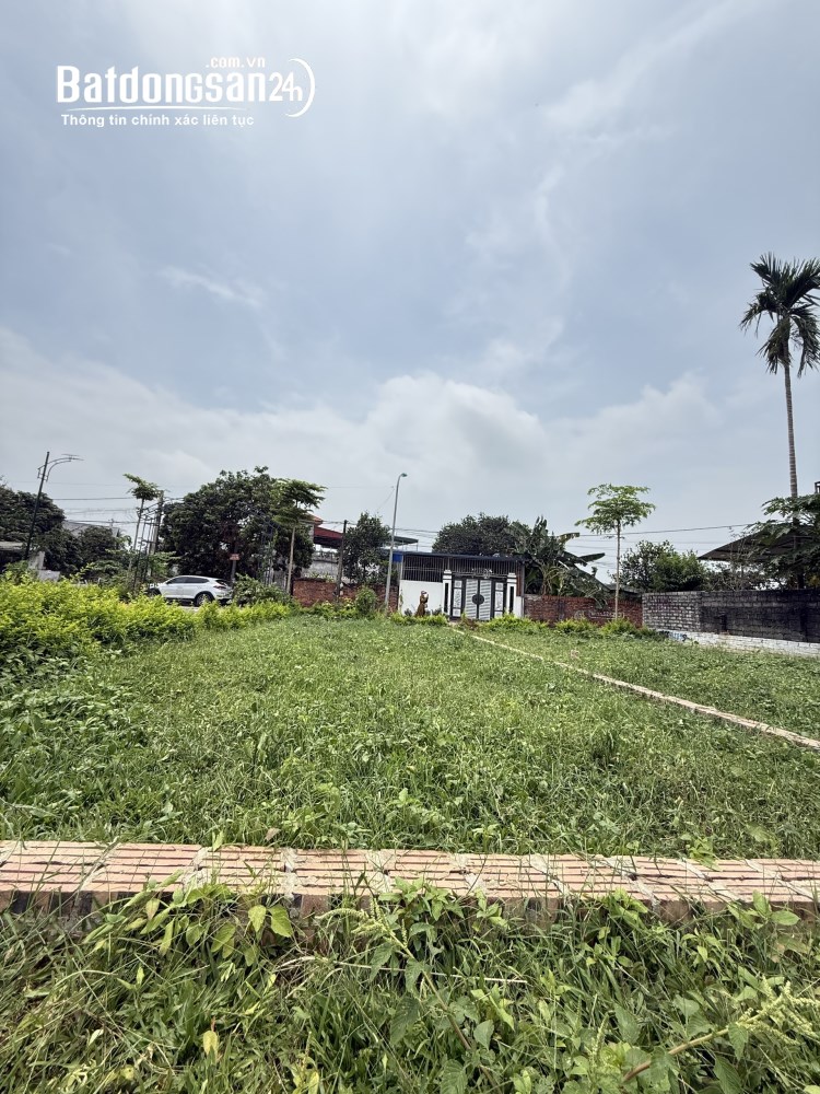  Bán 100m2 Trục chính Trại Hồ, 400m ra Trường Sĩ Quan Lục Quân, 30tr/m