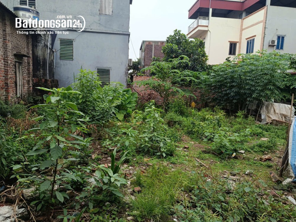 LÔ ĐẤT SIÊU HIẾM TẠI ĐÔNG ANH (7.4 x 12) SĐCC CHỈ 6.5 TỶ. LH:0976272269.