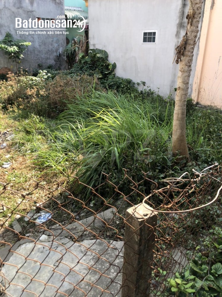 Bán gấp đất trả nợ ngân hàng, 53m2, giá 1,39 tỷ, Quốc Lộ 50, Xã Hưng Long (H Bình Chánh cũ).