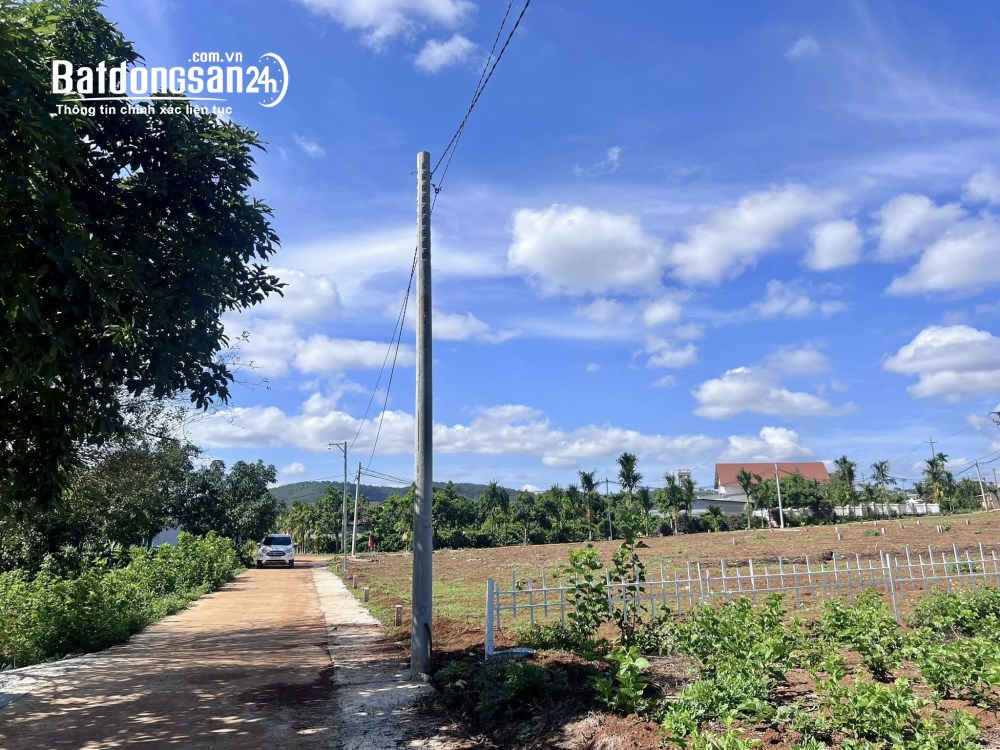 Bán đất 166m2, giá 790 triệu, Tỉnh lộ 725, Xã Nam Ban Lâm Hà, Tỉnh Lâm Đồng