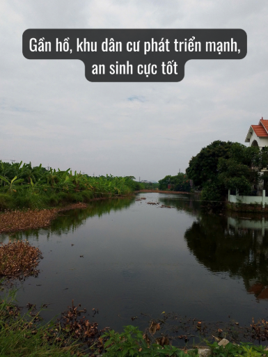 Hiếm Bán Đại Bản – Phú Thị – Trục Chính Kinh Doanh – Ô Tô Tránh – Nhỉnh 5 Tỷ