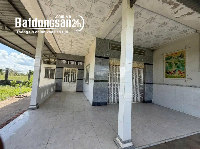 Nhà Cấp 4 Tân An Hội – Củ Chi – 244m², Ngang 10m – Có Thu Nhập Sẵn – Giá 750 Triệu.
