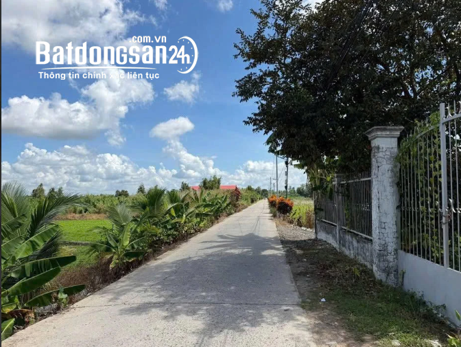Nhà Cấp 4 Tân An Hội – Củ Chi – 244m², Ngang 10m – Có Thu Nhập Sẵn – Giá 750 Triệu.