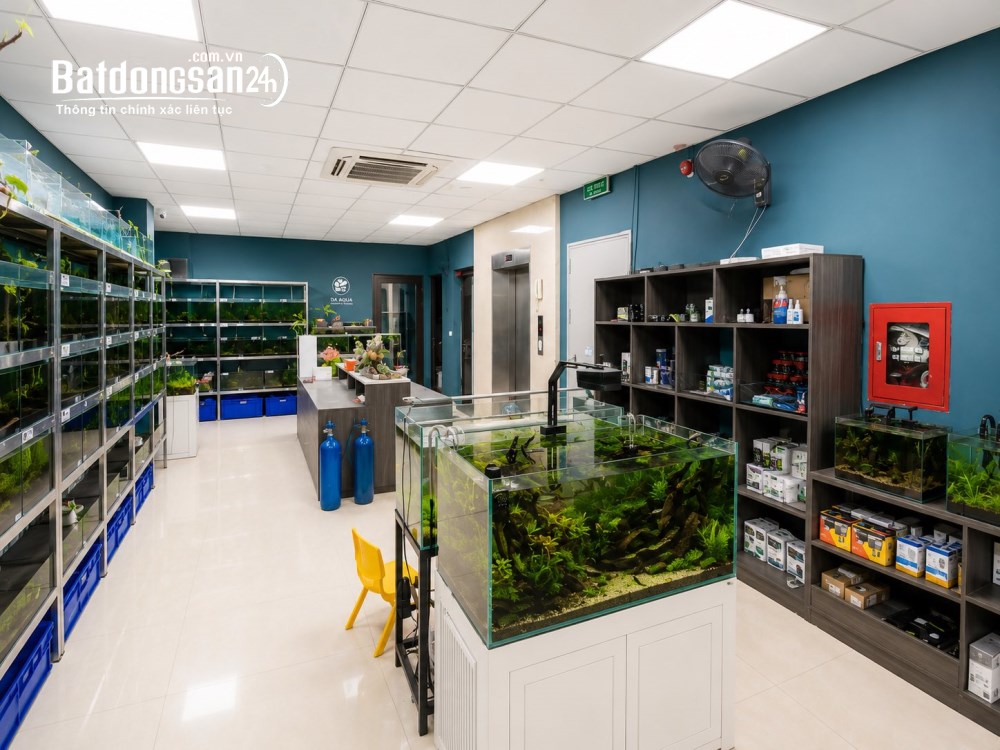 Bán nhà mặt tiền 9 tầng, TM, giá 76 tỷ, Phố Hạ Đình, P. Khương Đình (Q Thanh Xuân cũ).