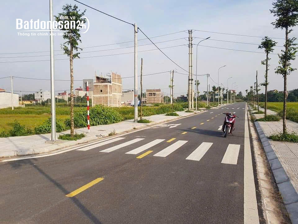Bán đất nền phân lô 130m2, 24tr/m2, P. Lý Thường Kiệt (Huyện Kim Bảng cũ), Tỉnh Ninh Bình