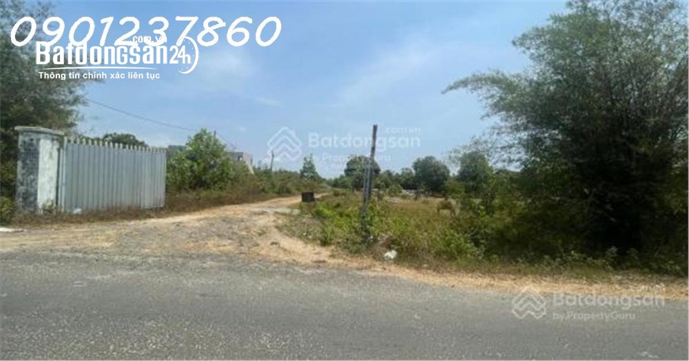 Đất 1.3ha Bình Châu, 45 tỷ, đón sóng đường ven biển và sân bay Long Thành