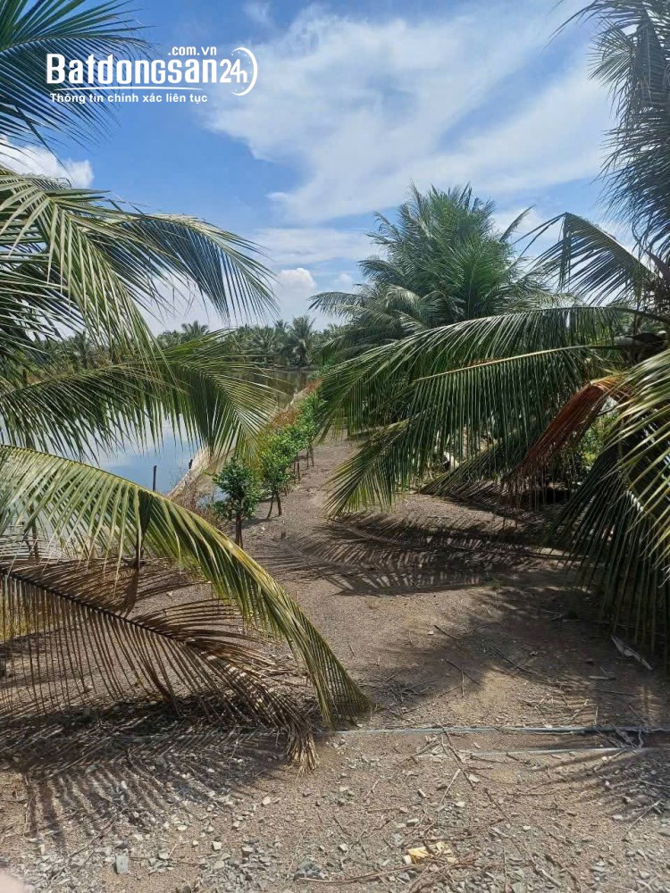 BÁN ĐẤT XÃ BÌNH LỢI - BÌNH CHÁNH, 10.387M2 SẴN 2 SỔ HỒNG CHỈ 2 TỶ/1000M2.