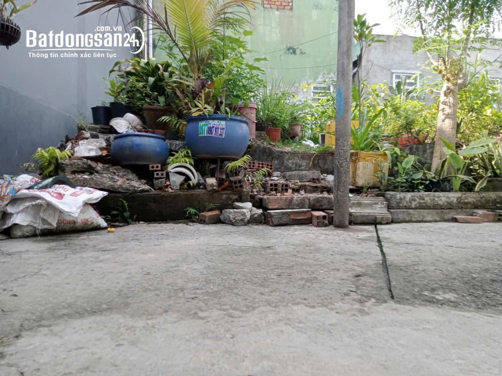 Bán đất Đường Trường Thọ, Phường Thủ Đức (Q Thủ Đức cũ), Hồ Chí Minh