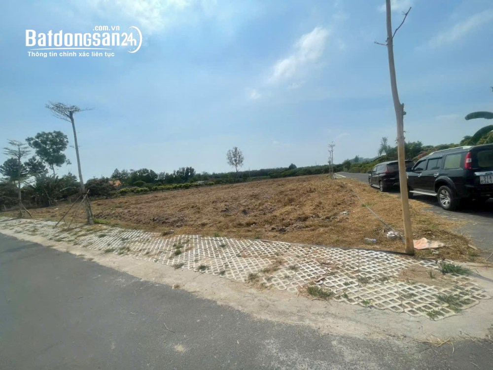 ĐỪNG ĐỢI CAO TỐC LONG THÀNH HỒ TRÀM XONG MỚI ĐI MUA ĐẤT