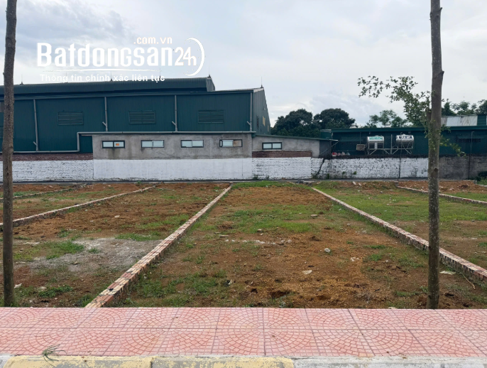 Đất Full Thổ Cư Đoài Phương – Sơn Tây – 100m2 – MT 8m – Chỉ 3.2 Tỷ